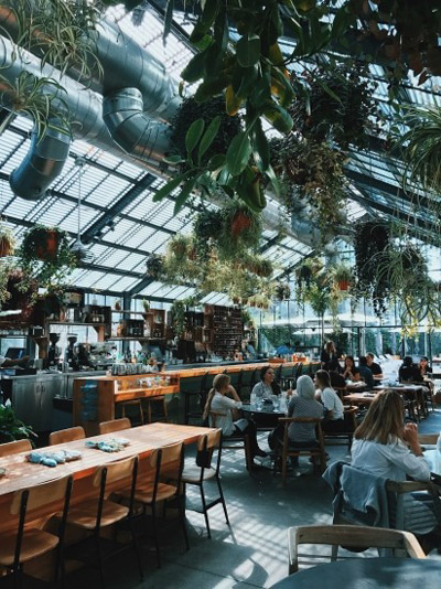 People eating in a outside dining area filled with green plants